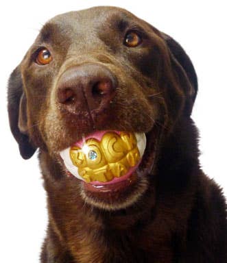 Humunga Bling Chew Toy for Dogs