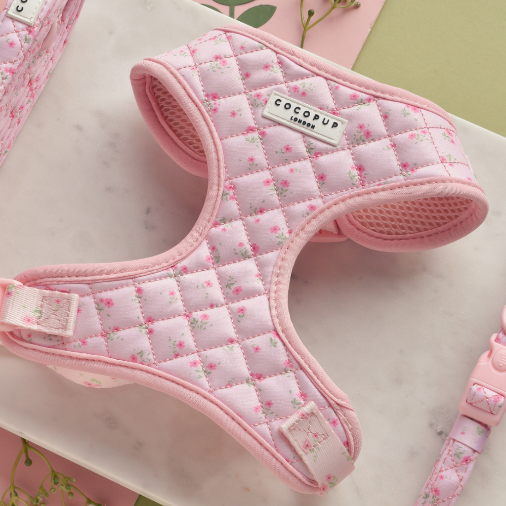 Quilted Ditsy Floral Periwinkle Adjustable Harness