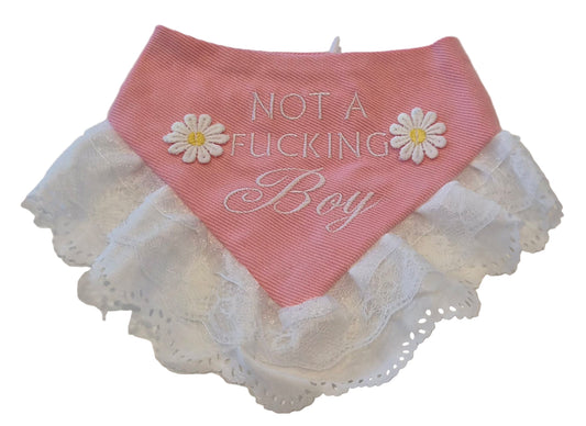 Not a Boy Dog Bandana with Trim