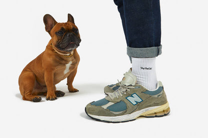 Calcetines Dog Dad Club - Negro