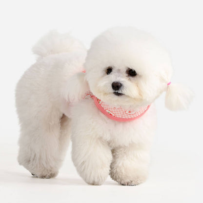 Trixie Jacket Dog Harness - Indian Pink