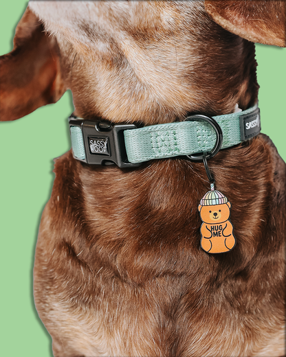 Dog Collar Tag - Hug Me Bear