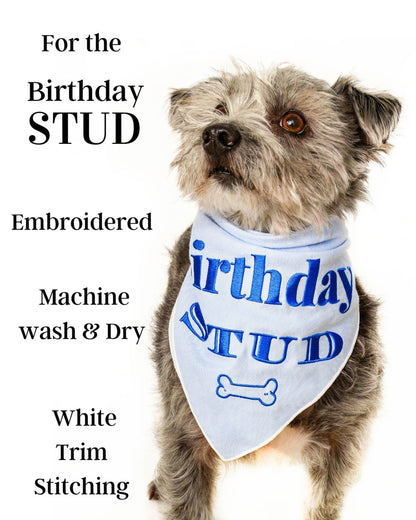 Embroided Birthday Boy Bandana