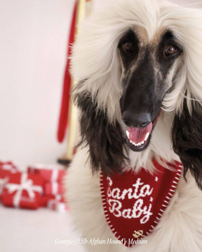Santa Baby Dog Bandana