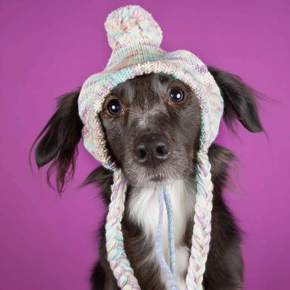 Gorro de punto con pompones para perro - Glaseado pastel