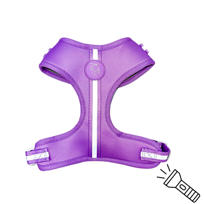 Shine Bright - Amethyst Adjustable Dog Harness