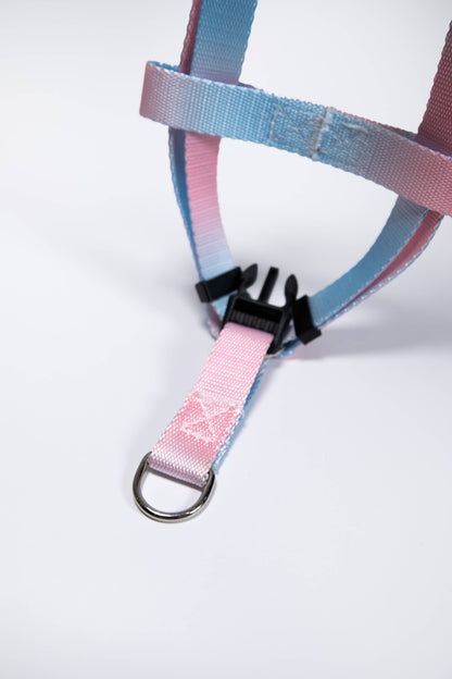 Gradient Pink/Blue Walk Kit Leash and Harness