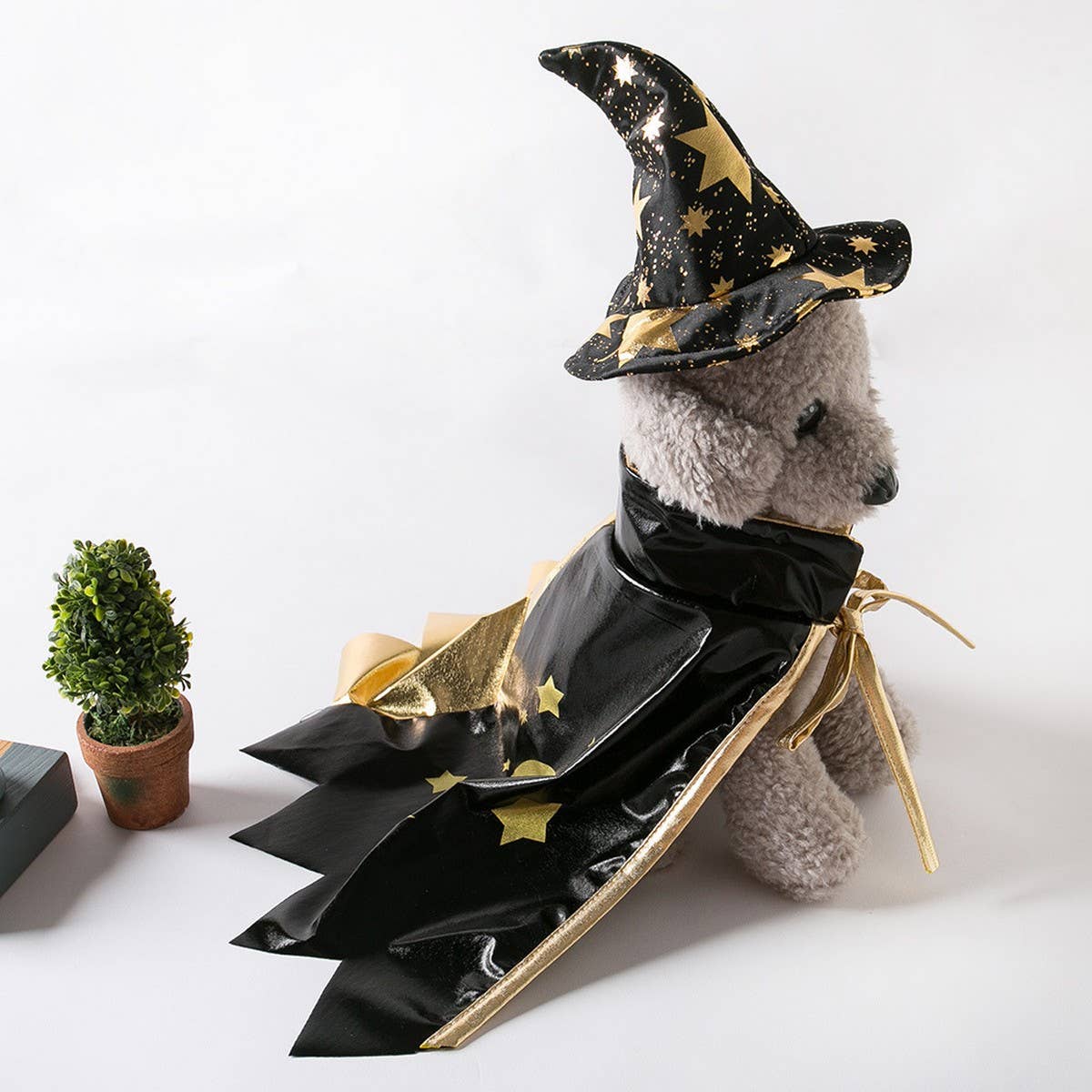 Witch Hat Cape Dog Costume