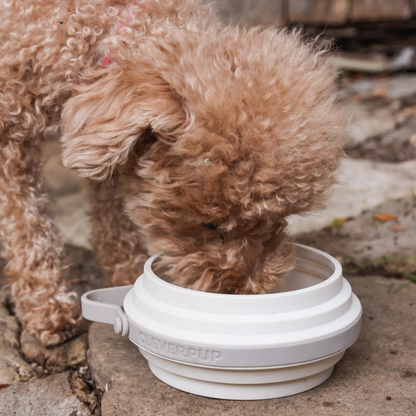Nomad Collapsible Dog Bowl