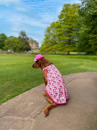 The Giddy up Pup Cooling Shirt