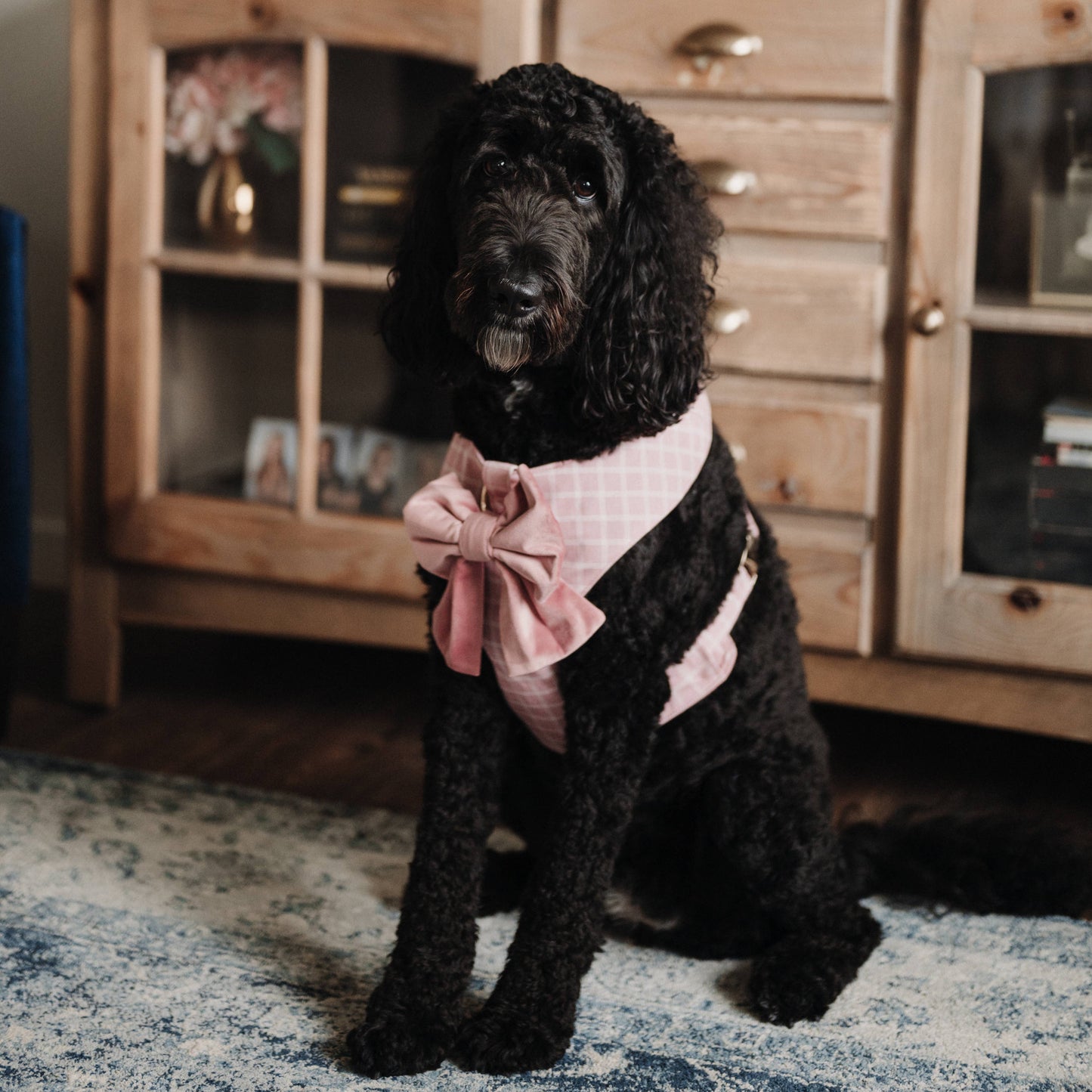 Rose Blossom Reversible Dog Harness