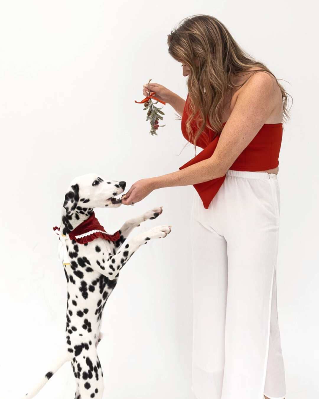 North Pole Dog Bandana