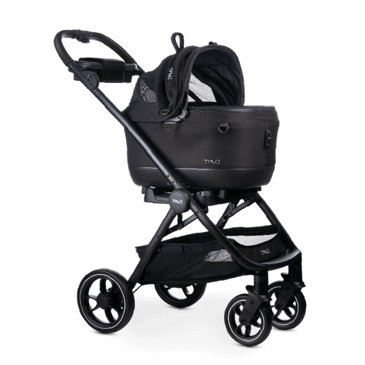 Tavo Maeve ISO + Roscoe Travel System