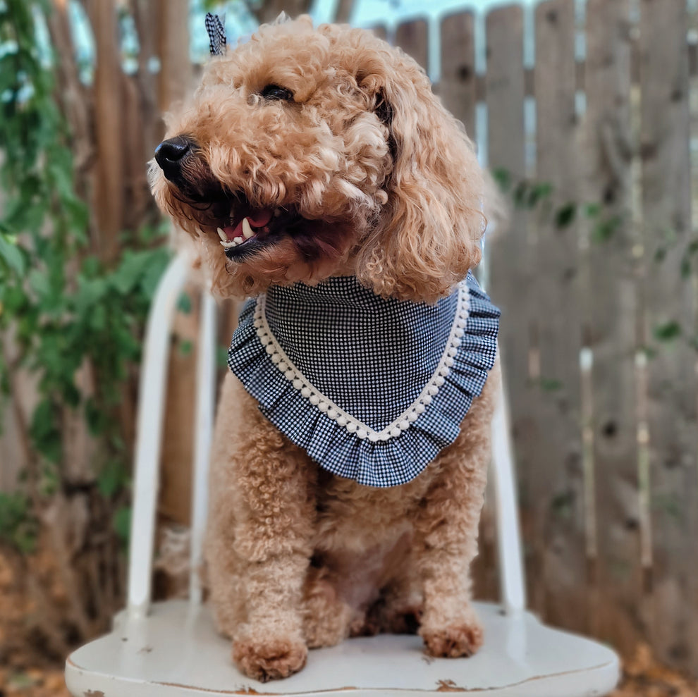 Dainty Black Gingham Dog Bandana With Ruffle