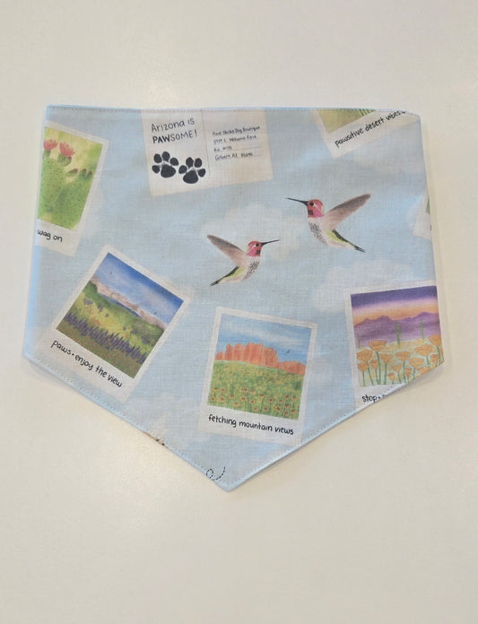 Scenic Arizona Dog Bandana with Snaps