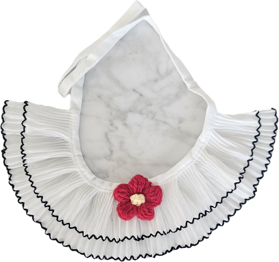 Lace Dog Collar - Assorted Styles