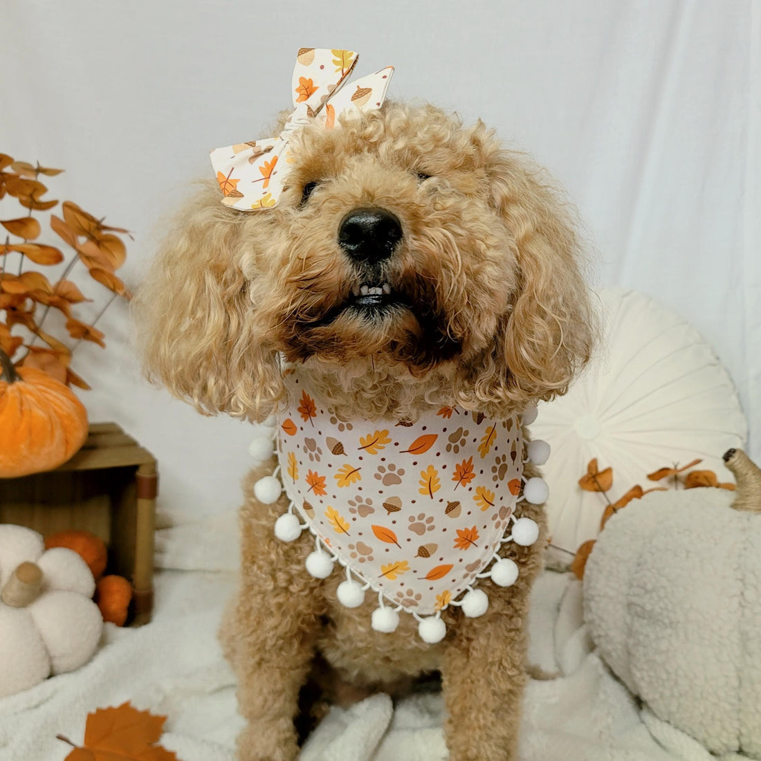 Green Pumpkin Spice With Pom Pom Dog Bandana