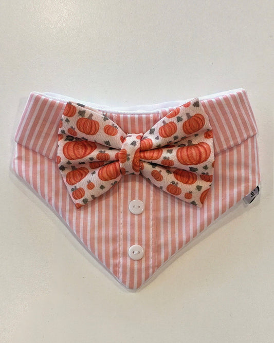 Pink Pin Stripes Pumpkin Bow Tie Dog Bandana