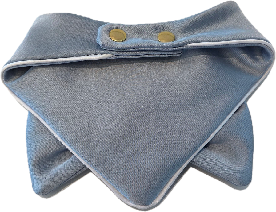 Blue Satin Big Bow Dog Bandanas