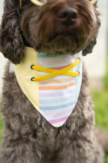 Popsicle Dog Bandana