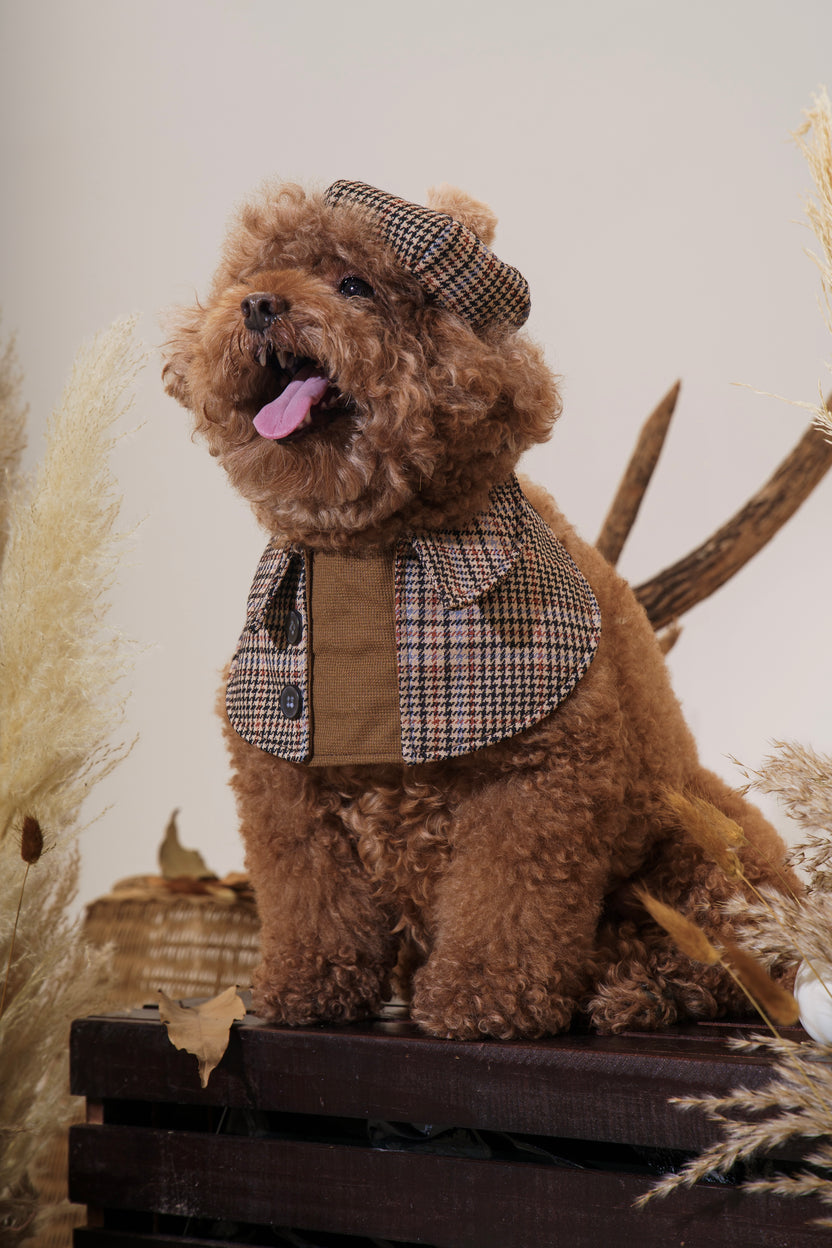 Oxfordshire Dog Bandana