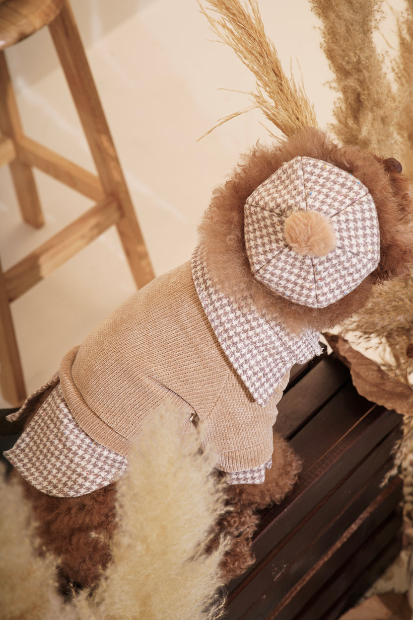 Toffee Sweater Dog Shirt