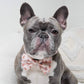 Coffee Break Dog Bow Tie