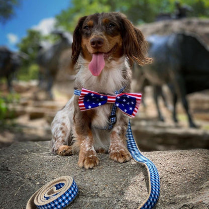 Liberty Dog Bow Bow Tie