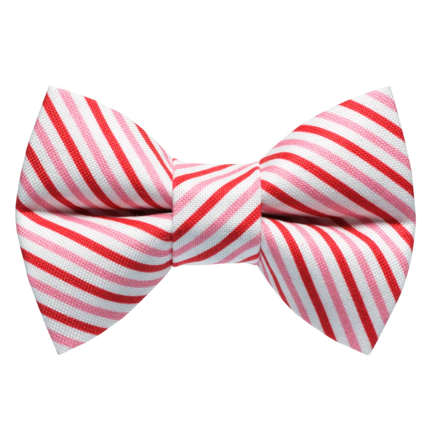 The Made You Look Bow Tie