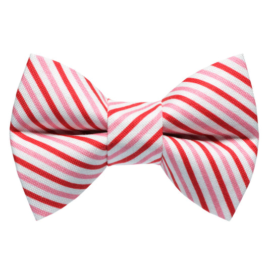 The Made You Look Bow Tie
