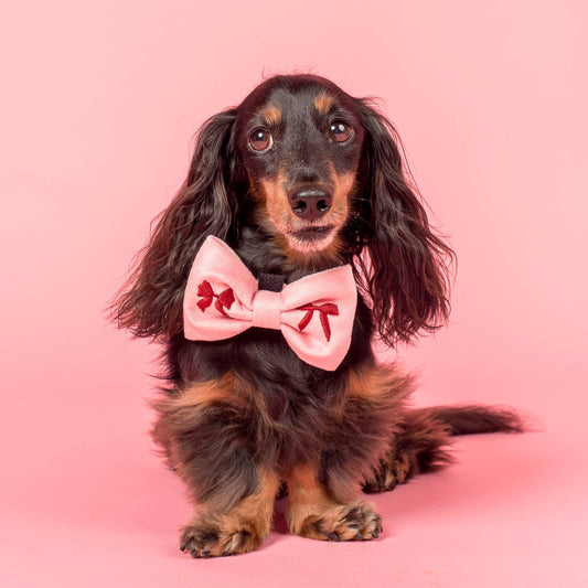 Velvet Blush Bows Embroidered Dog Bow Tie