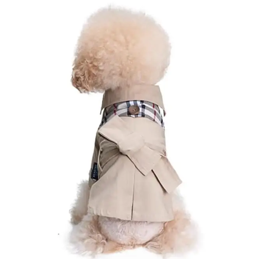 Burberry Dog Coat