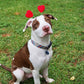 Diadema de corazones rojos