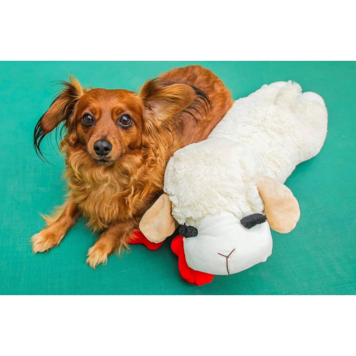 Multipet Lamb Chop 18" Plush Dog Toy