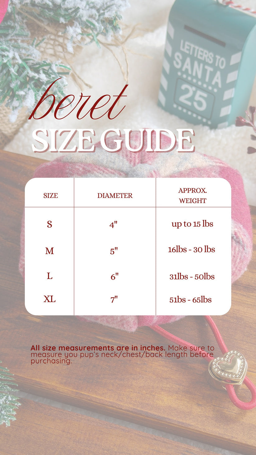 Holiday Christmas Beret