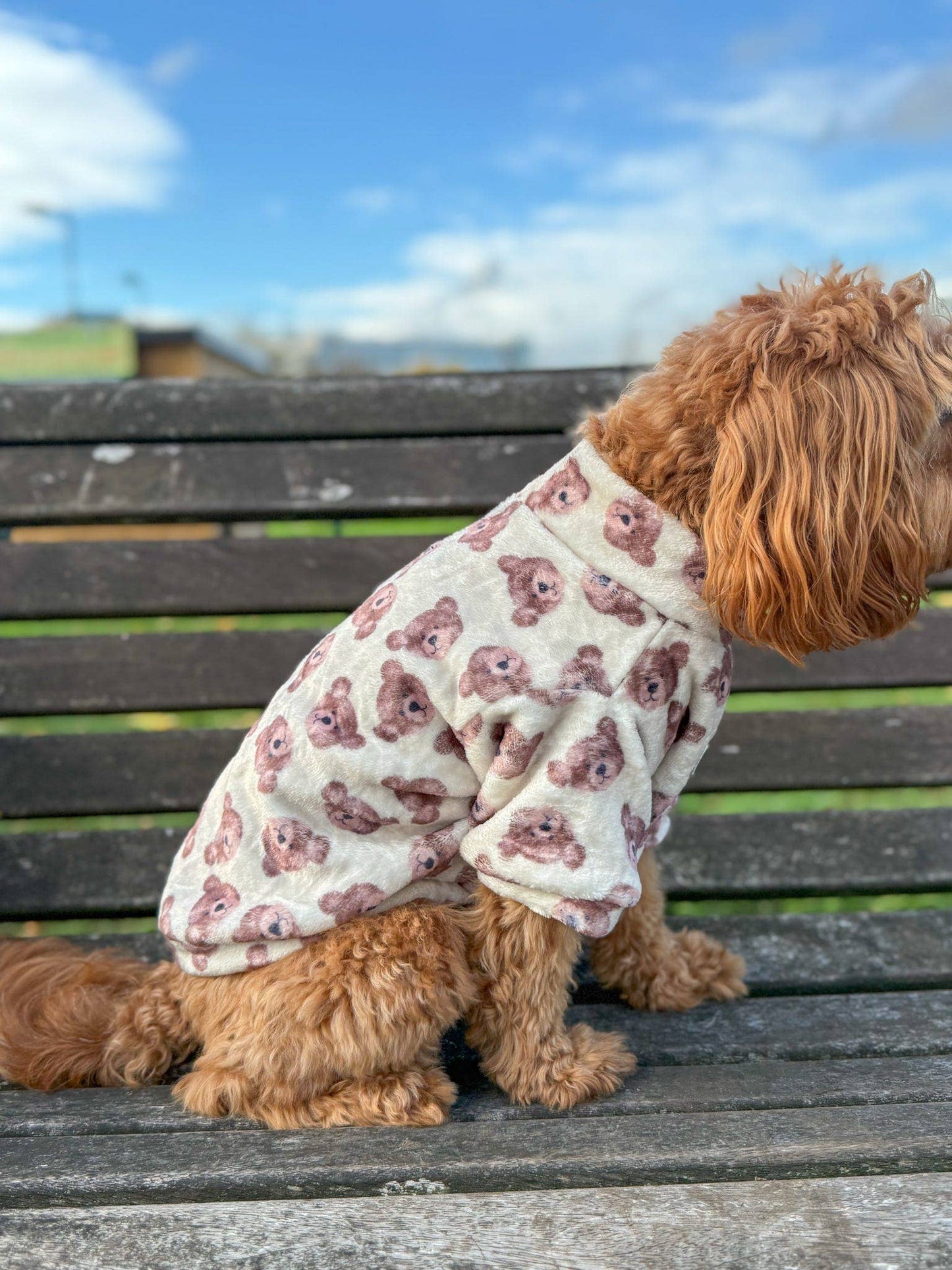 Little Bear Cub Snuggle Fleece