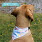 Pawty Time Gotcha Day  Bandana - Assorted Sizes