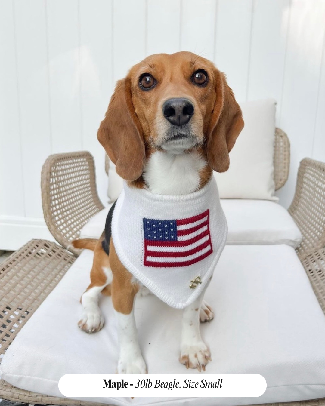 American Flag Dog Bandana