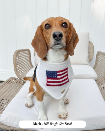 American Flag Dog Bandana