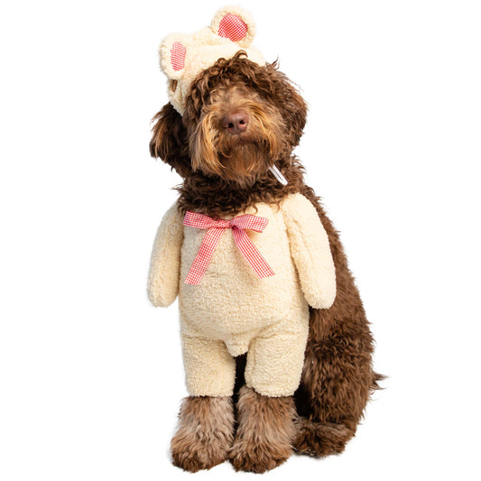 Disfraz de osito de peluche para perro que camina