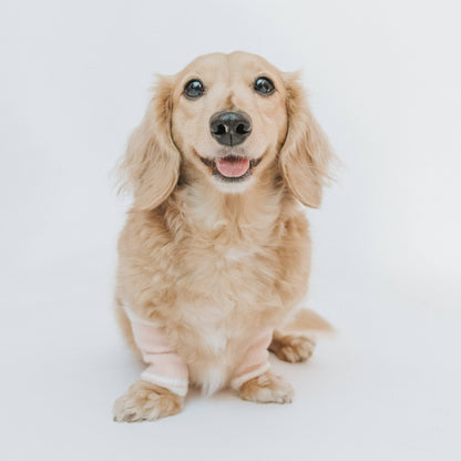 Dog Leg Warmers - Assorted Colors