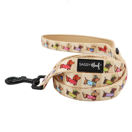Dog Leash - Sunbean