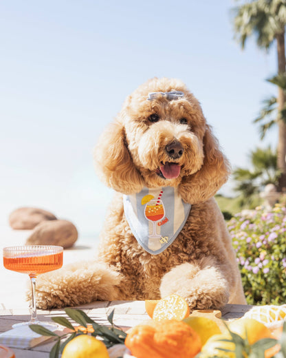 Spritz & Stripes Dog Bandana