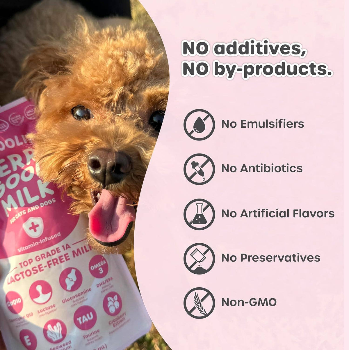 Berry Good Milk Pouch