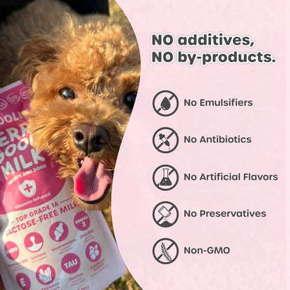 Berry Good Milk Pouch