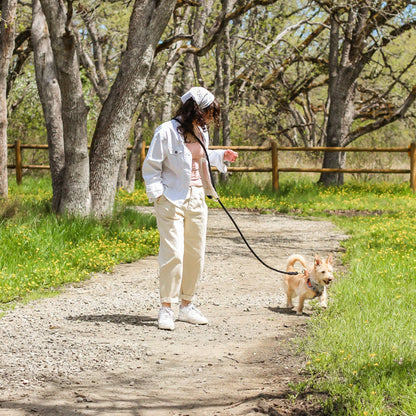 Hands Free Rope Leash - Assorted Colors