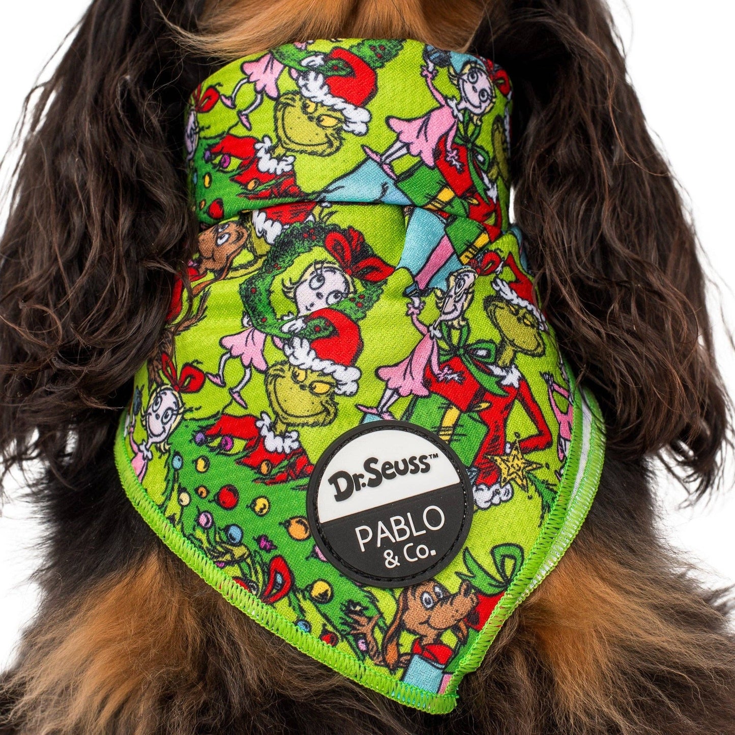 Dr. Seuss' Who-Ville: Dog Bandana: Small