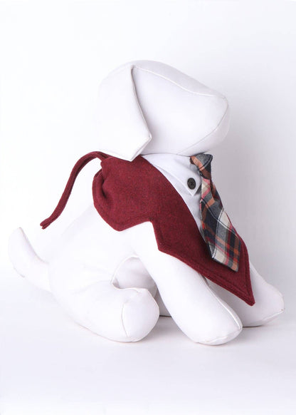 Craig Neck Tie Formal Bandana