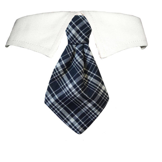 Jayden Dog Shirt Collar