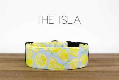Isla Dog Collar